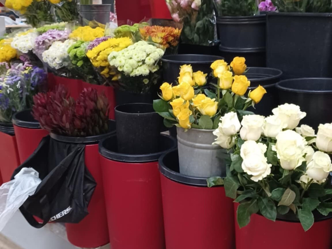 Mercado Municipal De Braga-布拉加区必去景点