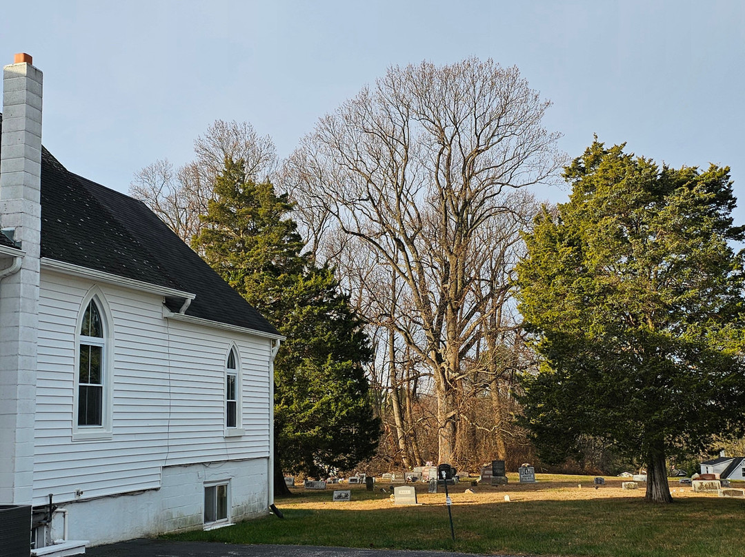 Fairview A.M.E. Church