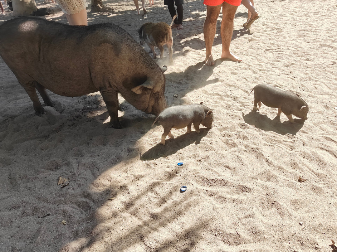 Ocean King Samui-利巴诺伊必去景点