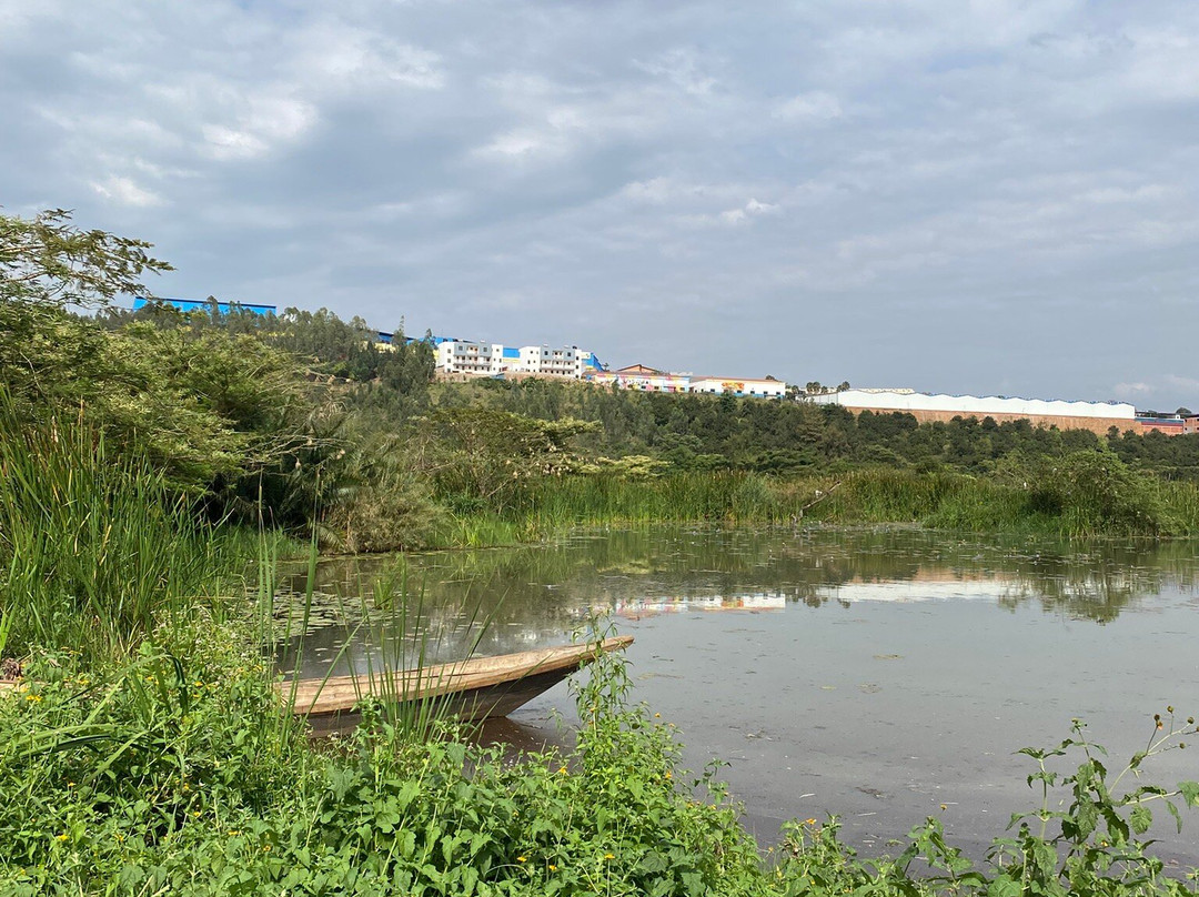 Nyandungu Eco-Park-吉佳利必去景点
