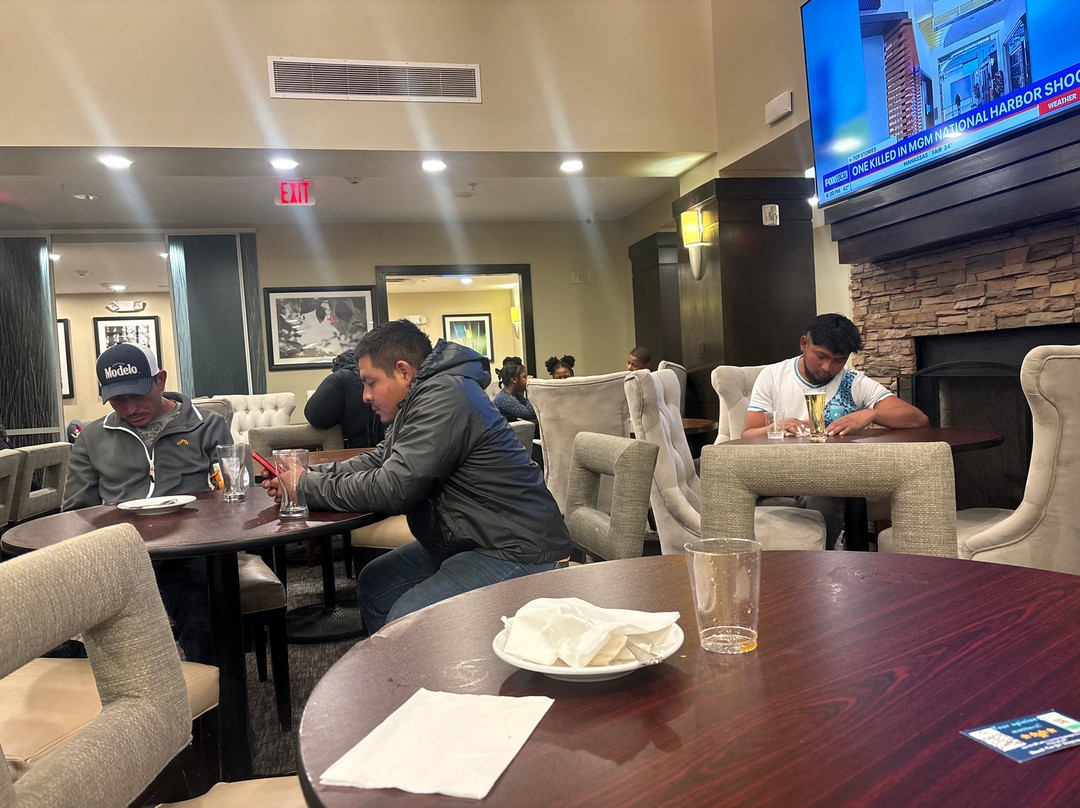 Staybridge Suites Washington D.C. - Greenbelt by IHG主图