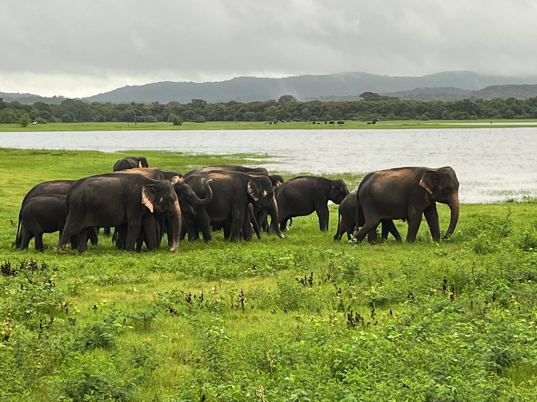 Visit Sri Lanka Transfers-Ratmalana必去景点