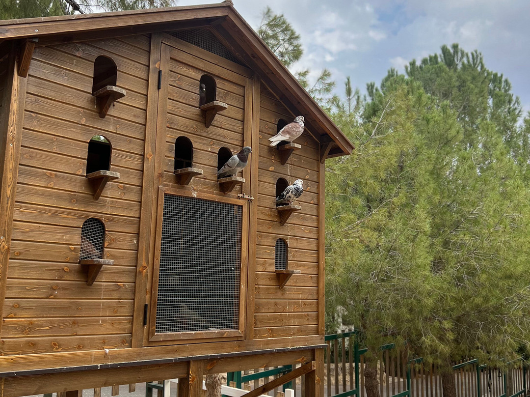 Mountain Breeze Lodge & Resort主图