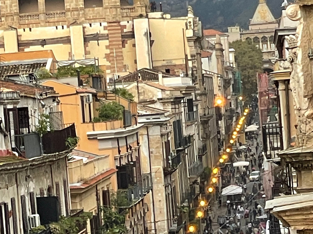 Cruises on the Road in Tuscany-卢卡必去景点