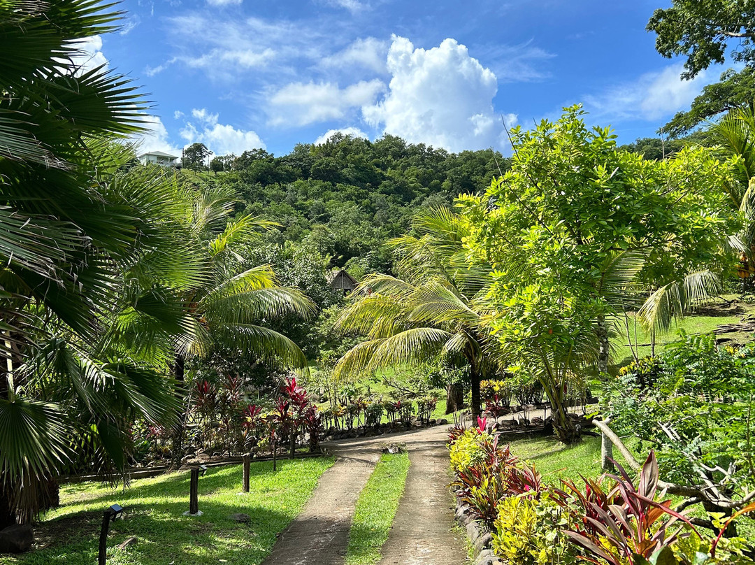 La Savane des Esclaves-Trois-Ilets必去景点