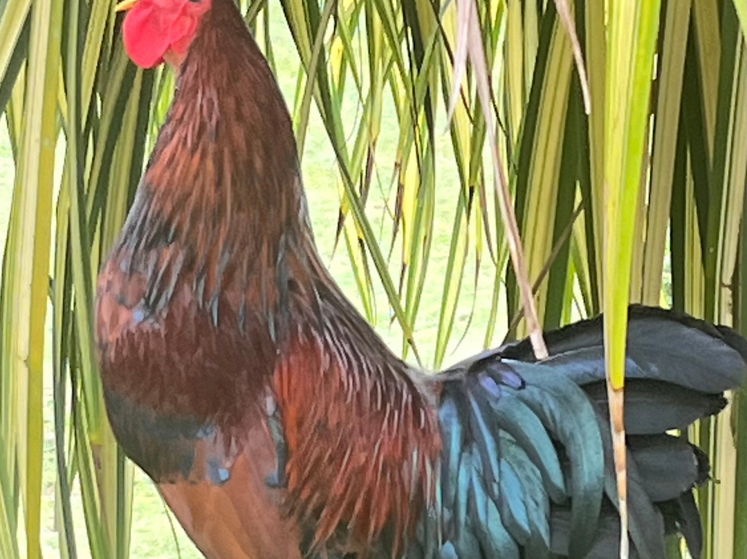 Hacienda Muñoz-San Lorenzo必去景点