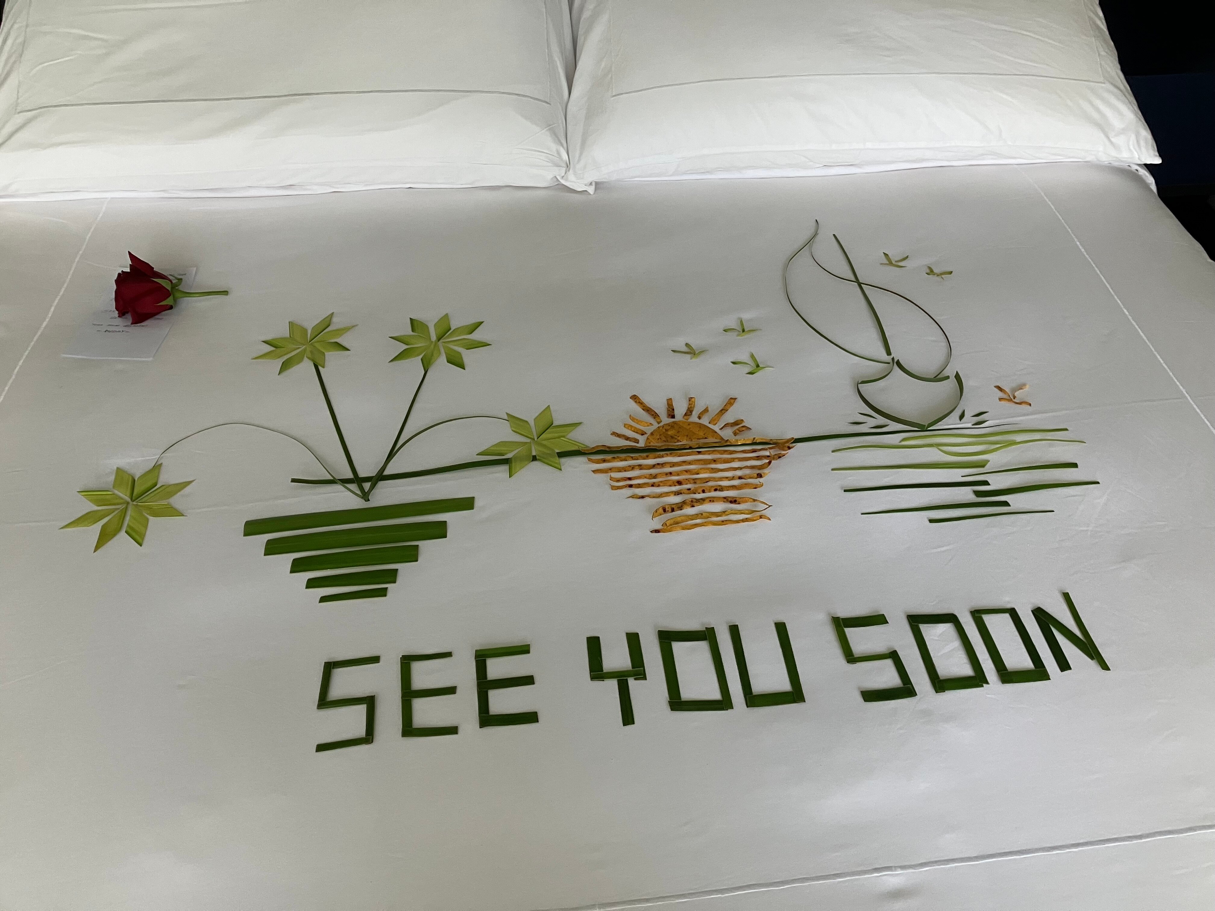 Avani+ Fares Maldives Resort-官方