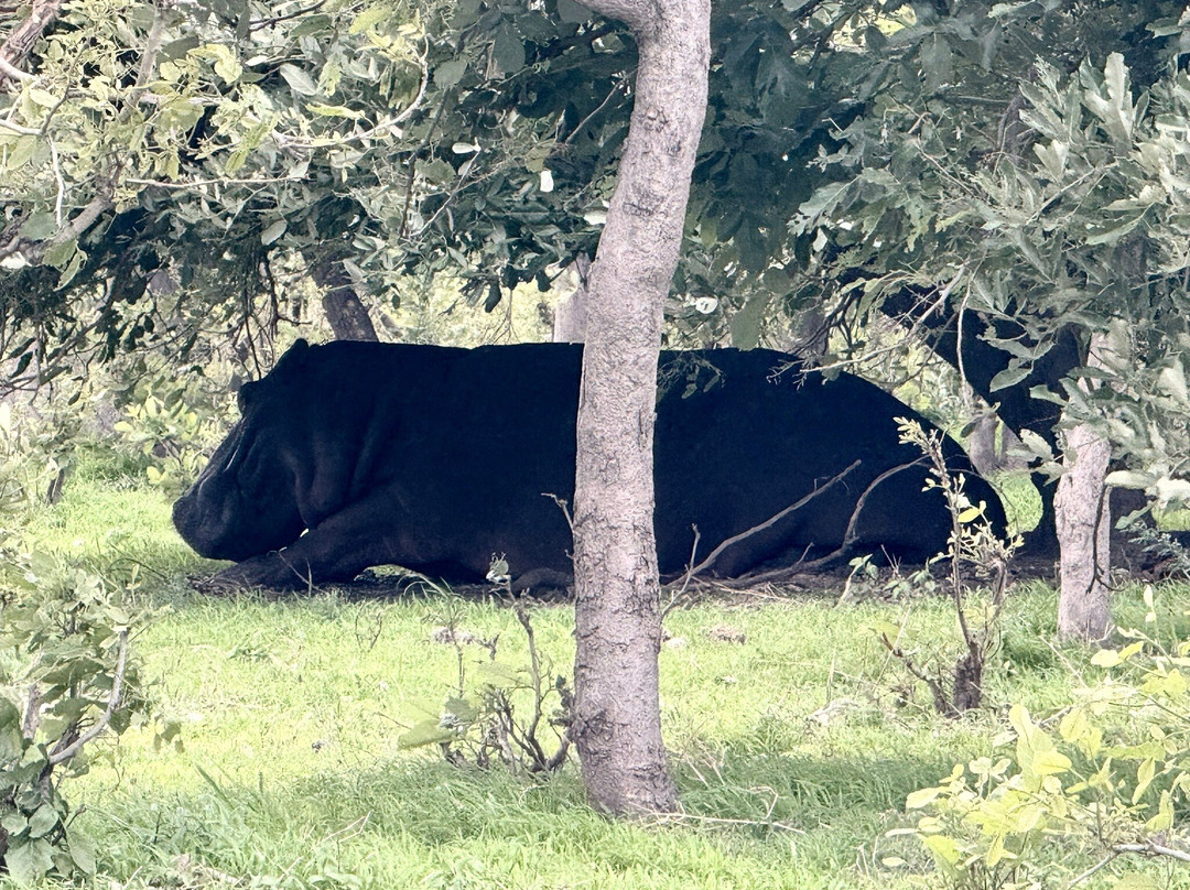 Gondwana Tours & Safaris-马翁必去景点