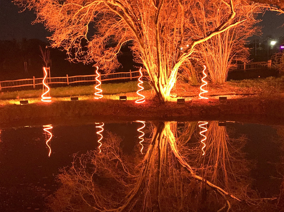 Tulleys Farm-Turners Hill必去景点