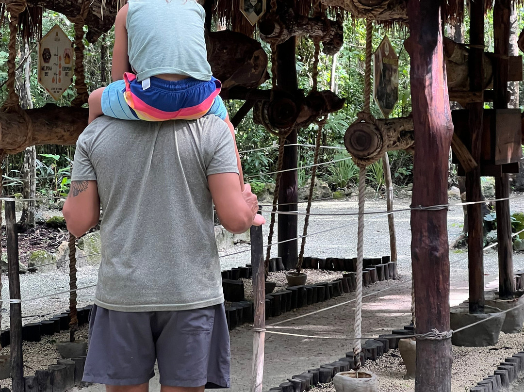 Mayan Bee Sanctuary-San Miguel de Cozumel必去景点