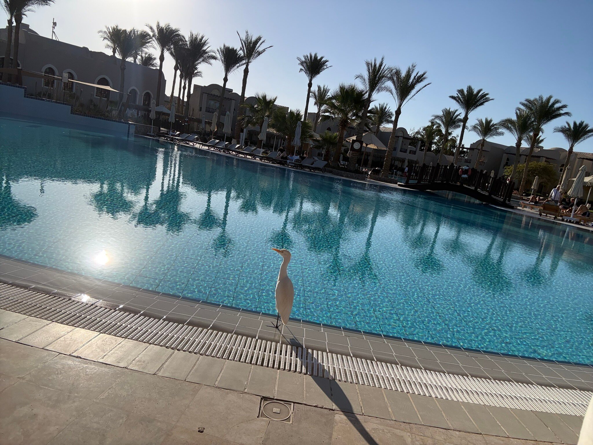 伊贝罗泰尔马卡迪海滩酒店-官方