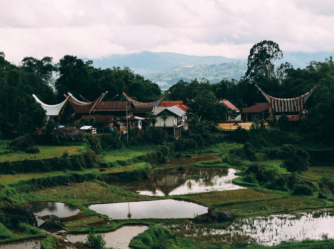 Gloria Tours & Travel-孟加锡必去景点