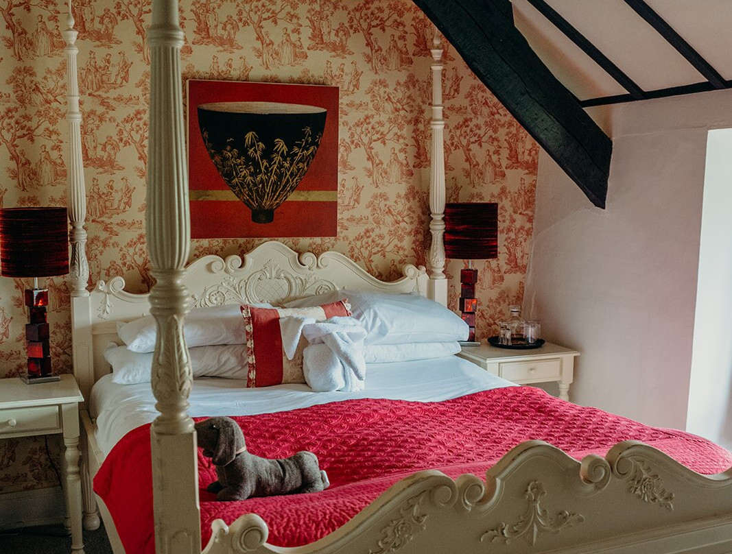 The Nobody Inn主图