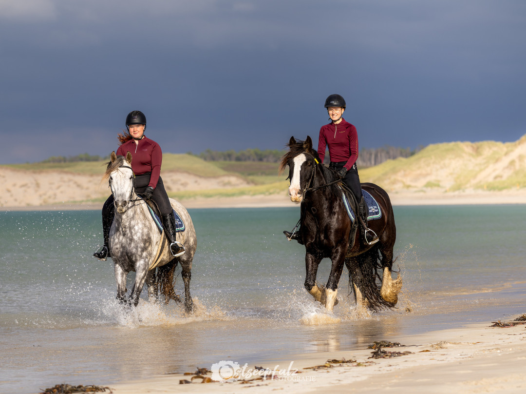 Island View Riding Stables-Grange必去景点