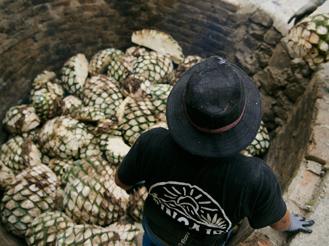 Finca 18-瓦拉塔港必去景点