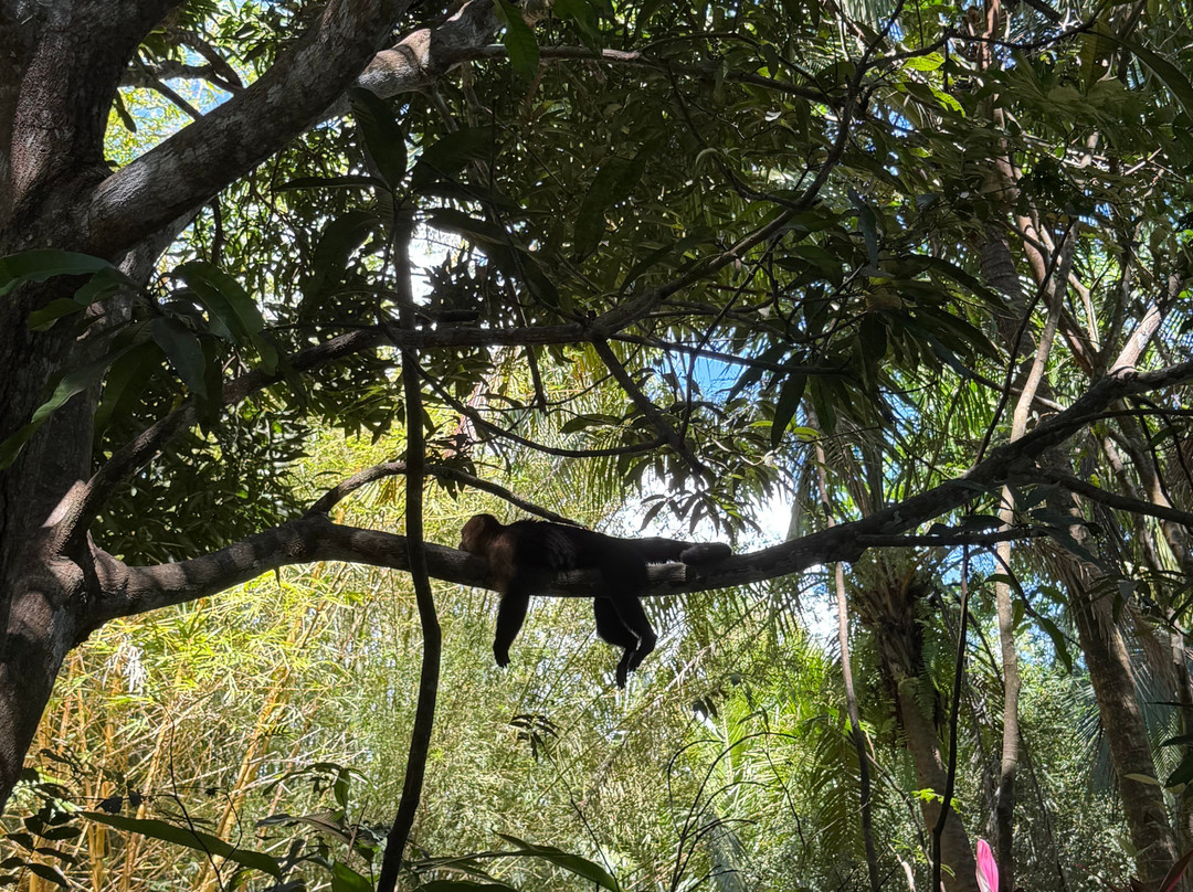 0S3 Private Tours-哈科必去景点