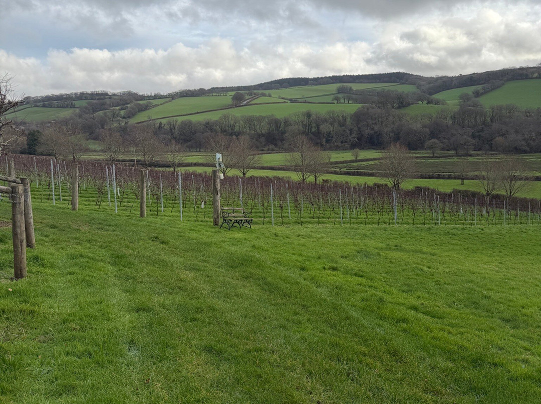 Alder Vineyard-Lewdown必去景点