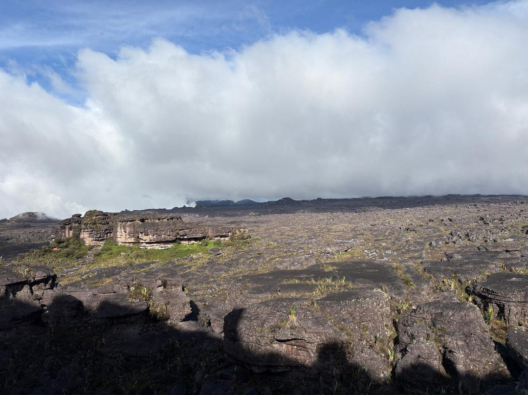 Eco Aventura Tours-Santa Elena de Uairen必去景点