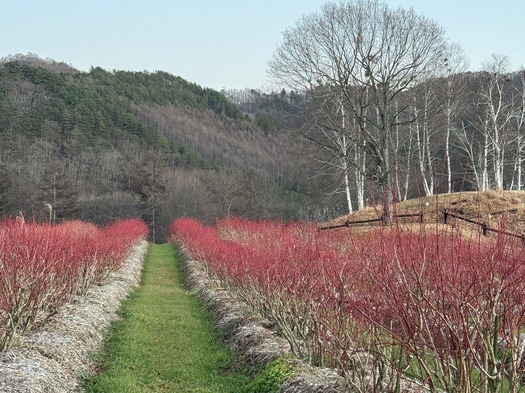 Tsutaya Tokinoyado Kazari主图
