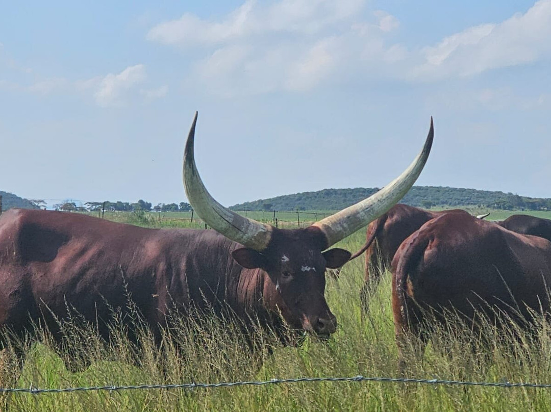 Dalmore Farm Guest House主图