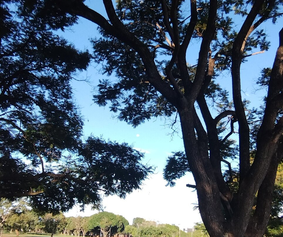 城巿公园-巴西利亚必去景点