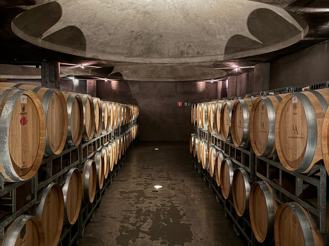 Martelli: Passeios e Bike Experience-Garibaldi必去景点