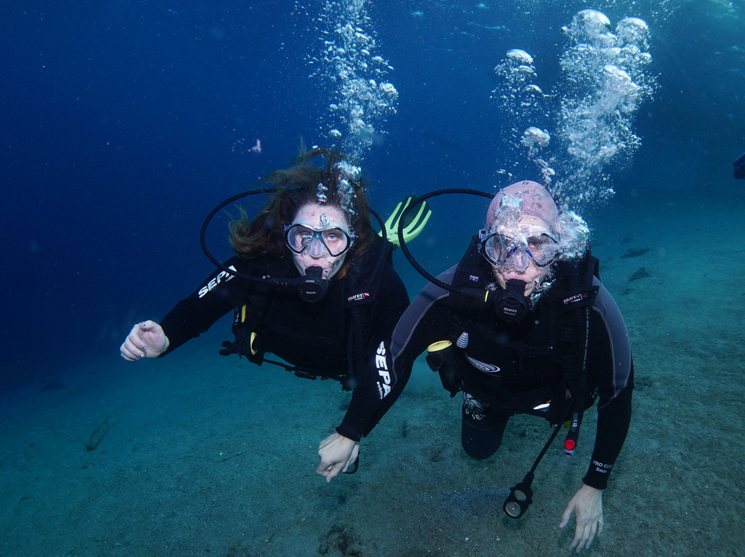 Nautilus Red Sea-埃拉特必去景点