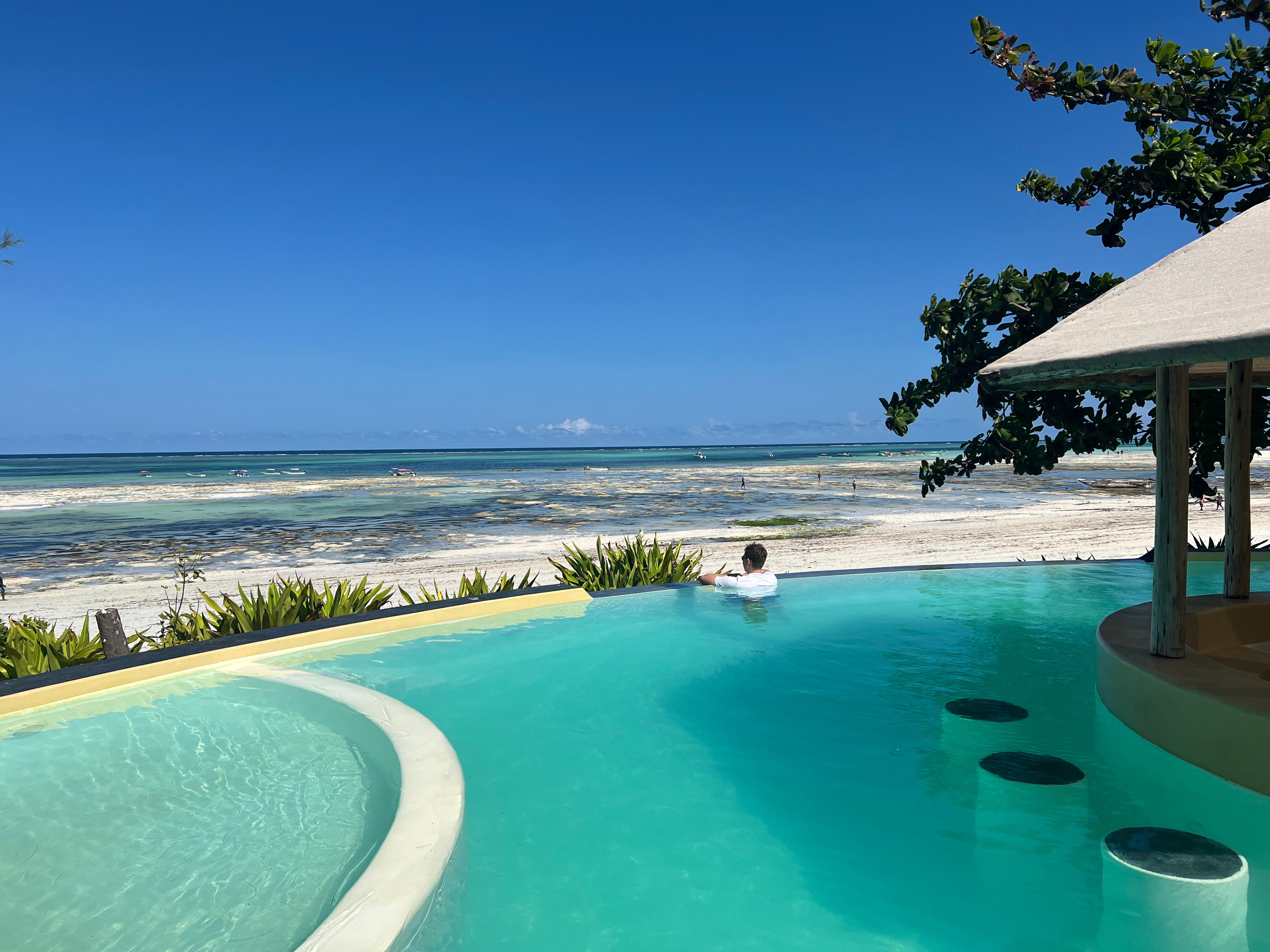 Baladin Zanzibar Beach Hotel-泳池