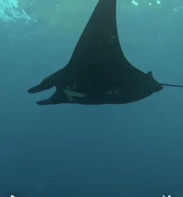 Dive Concepts Lembongan-蓝梦岛必去景点