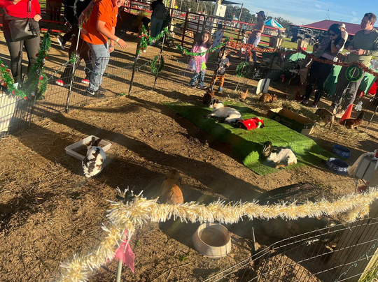 Southern Hill Farms-Clermont必去景点