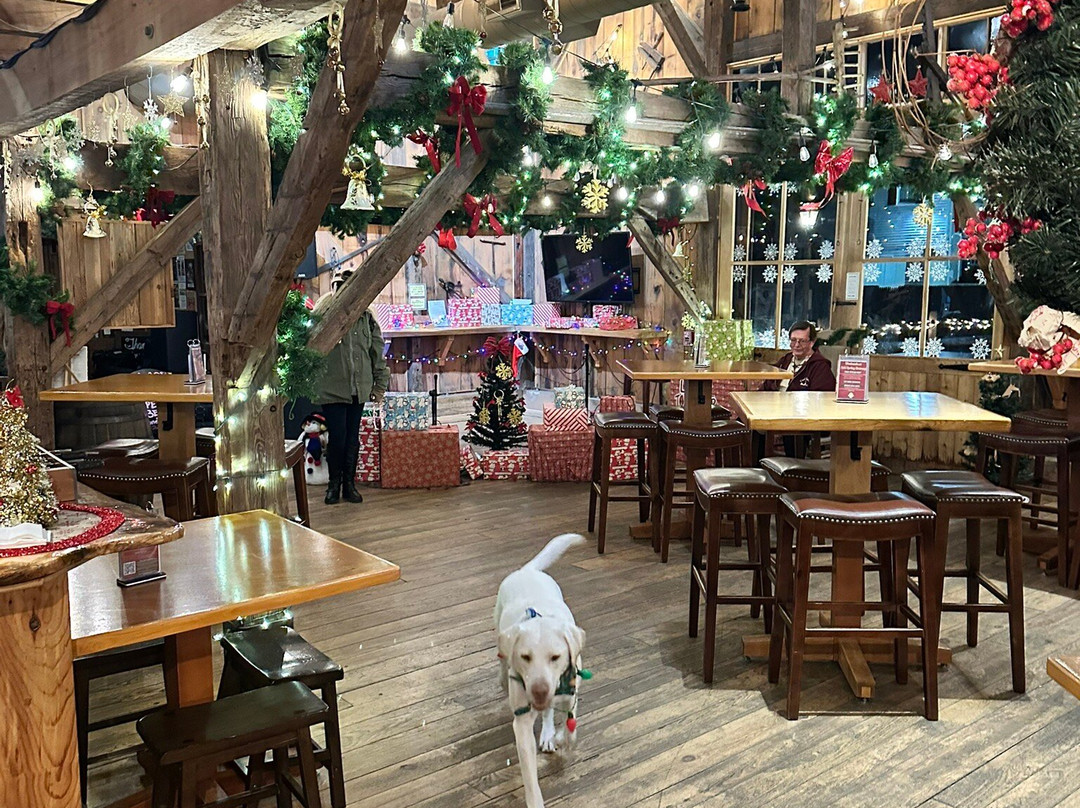 Cold Spring Brewery-Lower Township必去景点