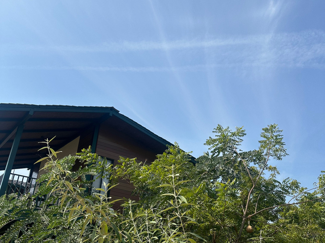 Tathastu Tadoba主图