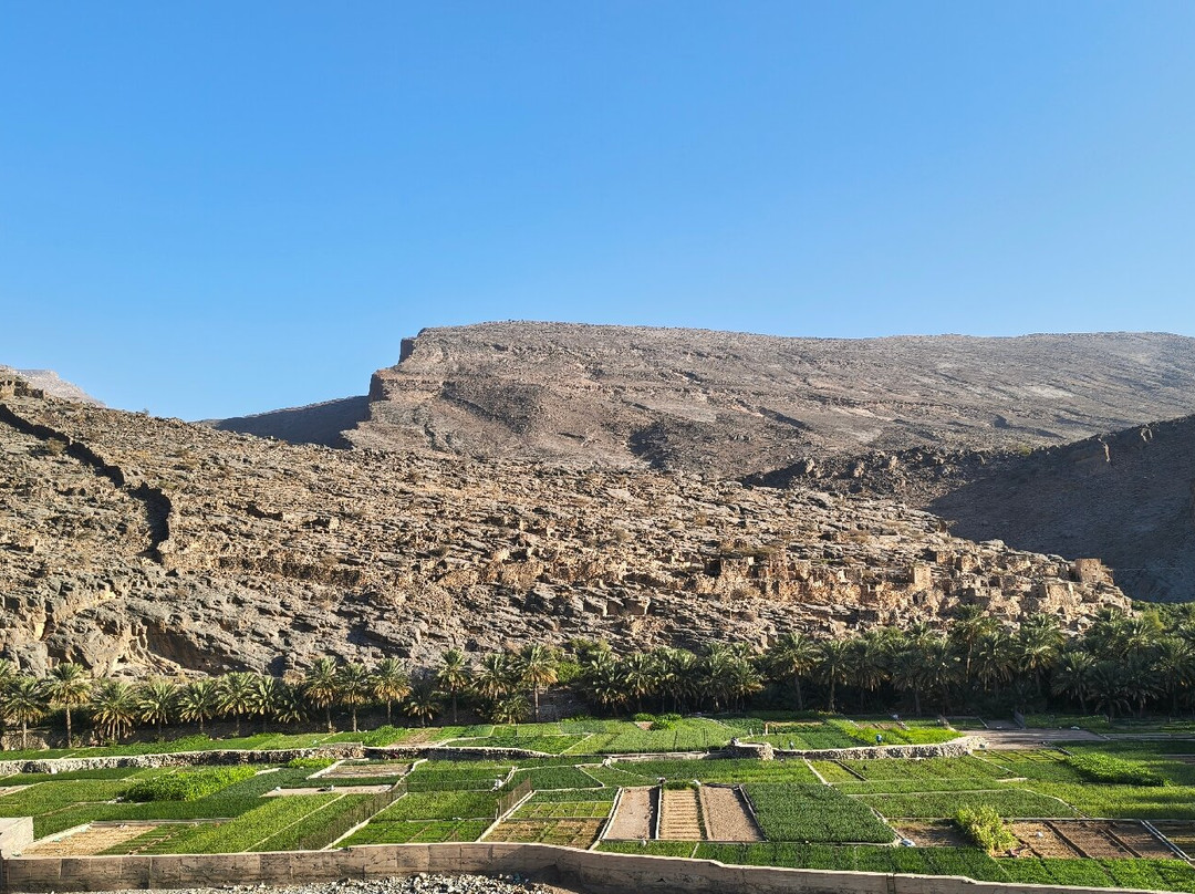 Jebel Shams Guide-Al Hamra必去景点