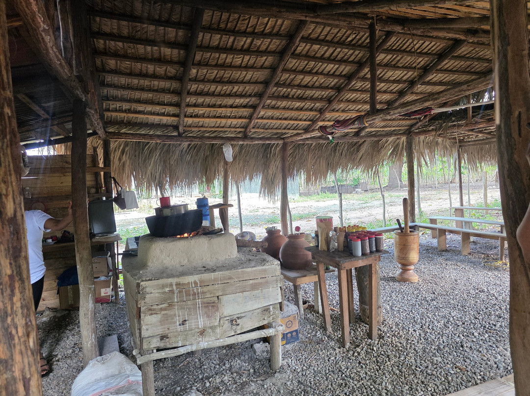 Monkey Home Puerto Plata-普拉塔港必去景点