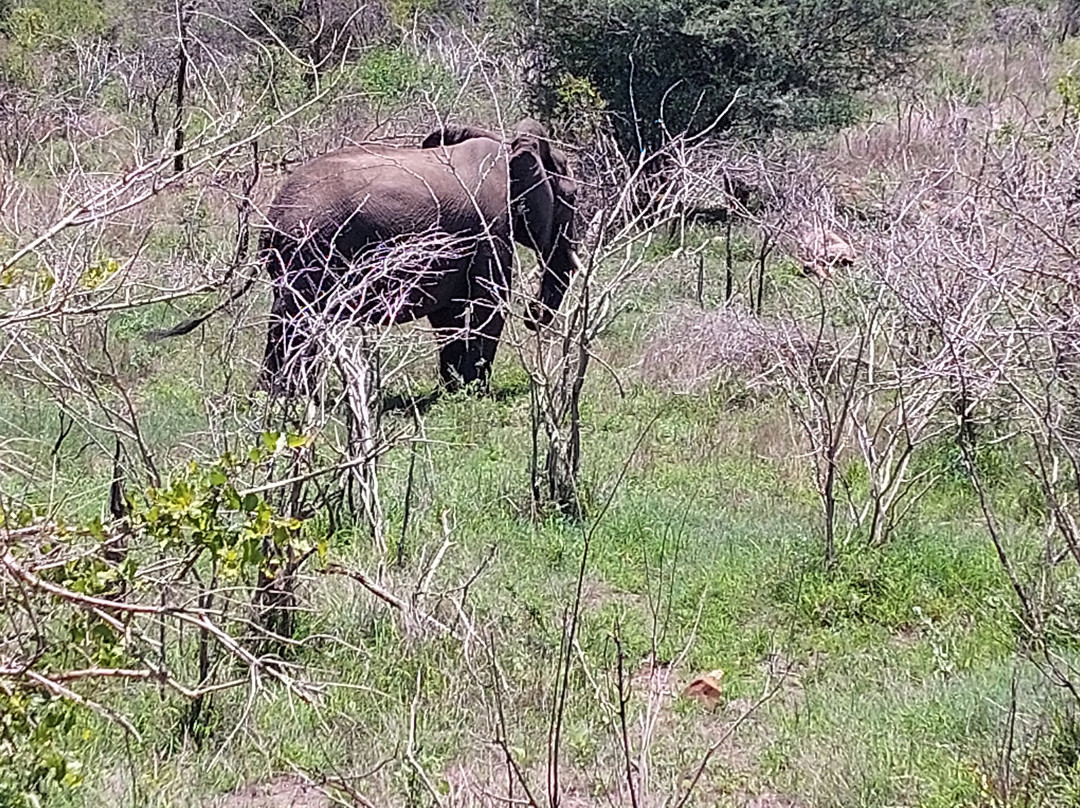 Pabeni Gate Kruger National Park-雾观必去景点