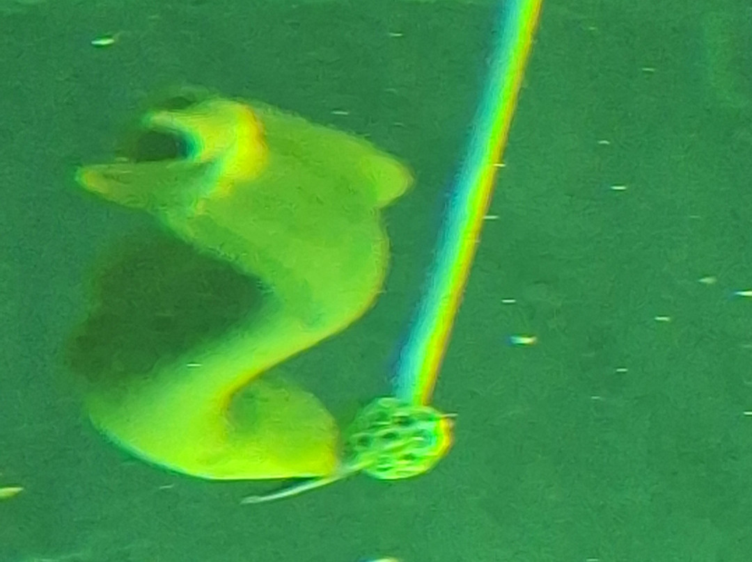 Daytona Aquarium & Rainforest Adventure-代托纳比奇必去景点