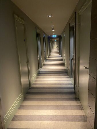 Dakota Manchester主图