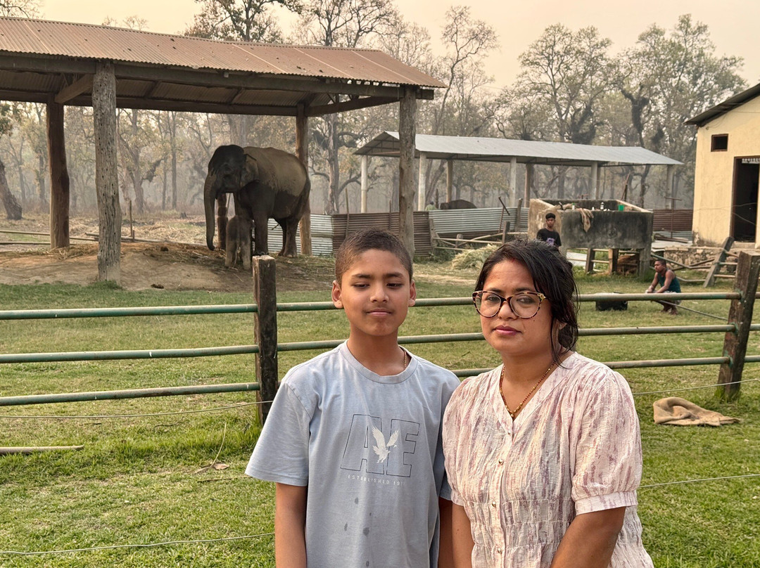 Elephant Breeding Centre-苏拉哈必去景点