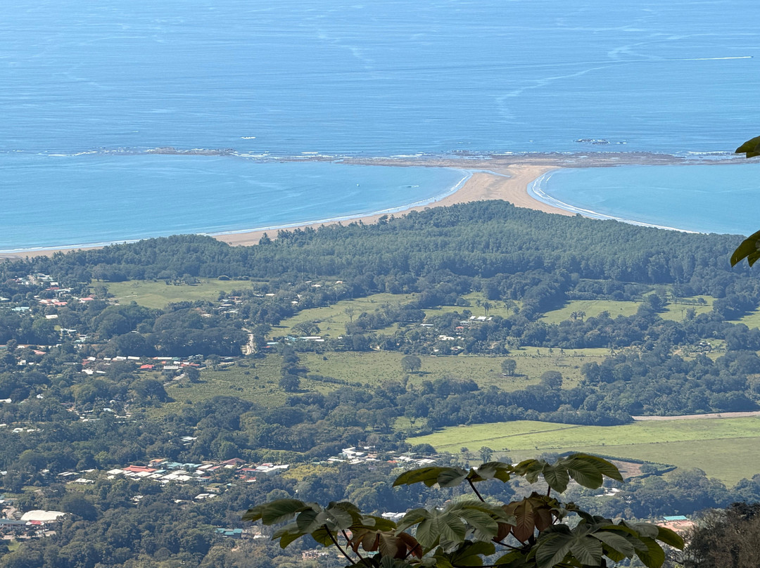 Jungle ATV Quad Tours-乌维塔必去景点