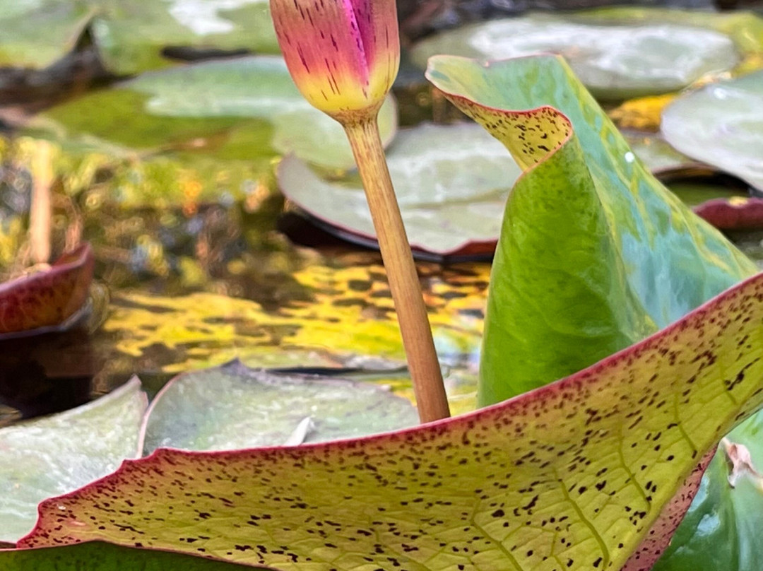 普什卡度假村主图