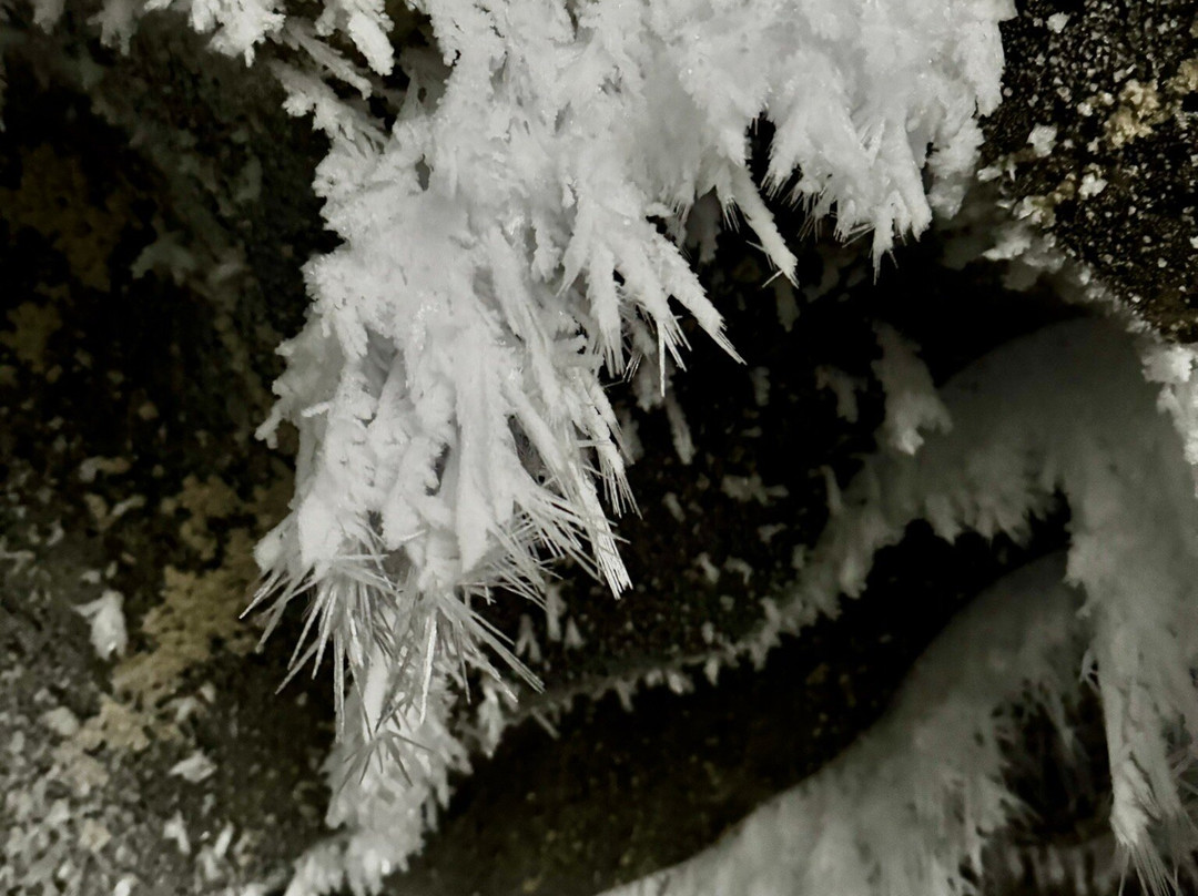 Steven Miley Photography-Delta Junction必去景点