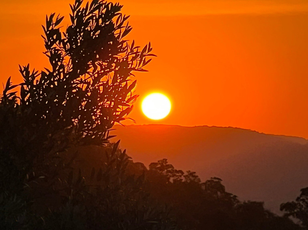 Parque Olivas de Gramado-格拉玛多必去景点