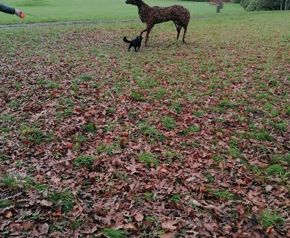 Gibside-盖茨黑德必去景点