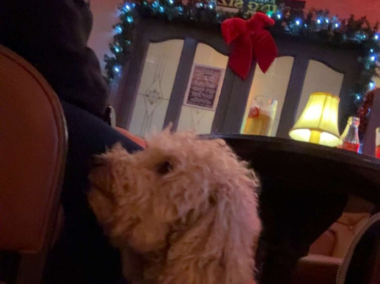 The Ritz Tramore-特拉莫尔必去景点