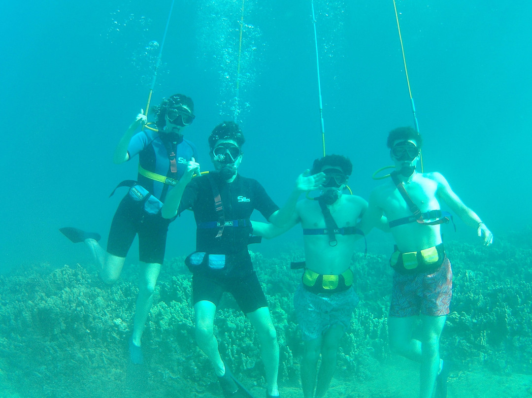 Shoreline Snuba-普卡兰尼必去景点