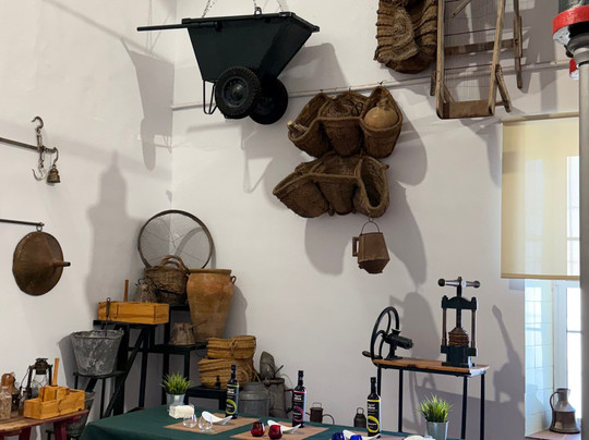 Oleícola San Francisco-Begijar必去景点