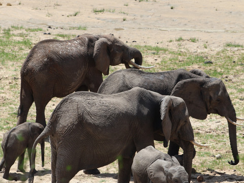 Kilimanjaro Adventure Safari Club-阿鲁沙必去景点