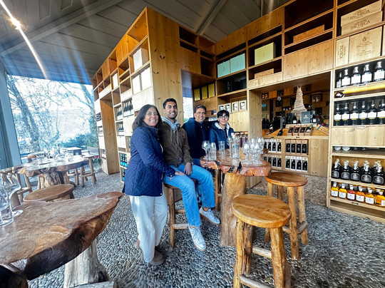 Van GO Tourism-里斯本必去景点