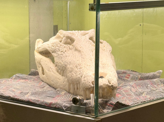 Koorana Crocodile Farm-Coowonga必去景点