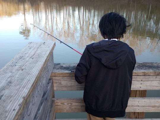 George Poston Park-加斯托尼亚必去景点